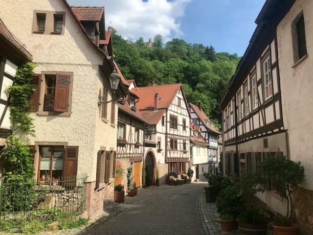 Buedinger Hof Apartment Weinheim Exterior foto