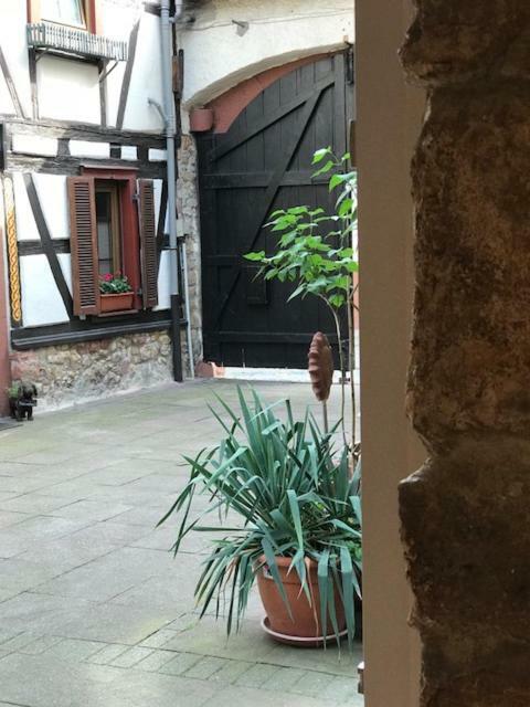Buedinger Hof Apartment Weinheim Exterior foto